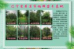 宣传彩页