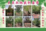 宣传彩页