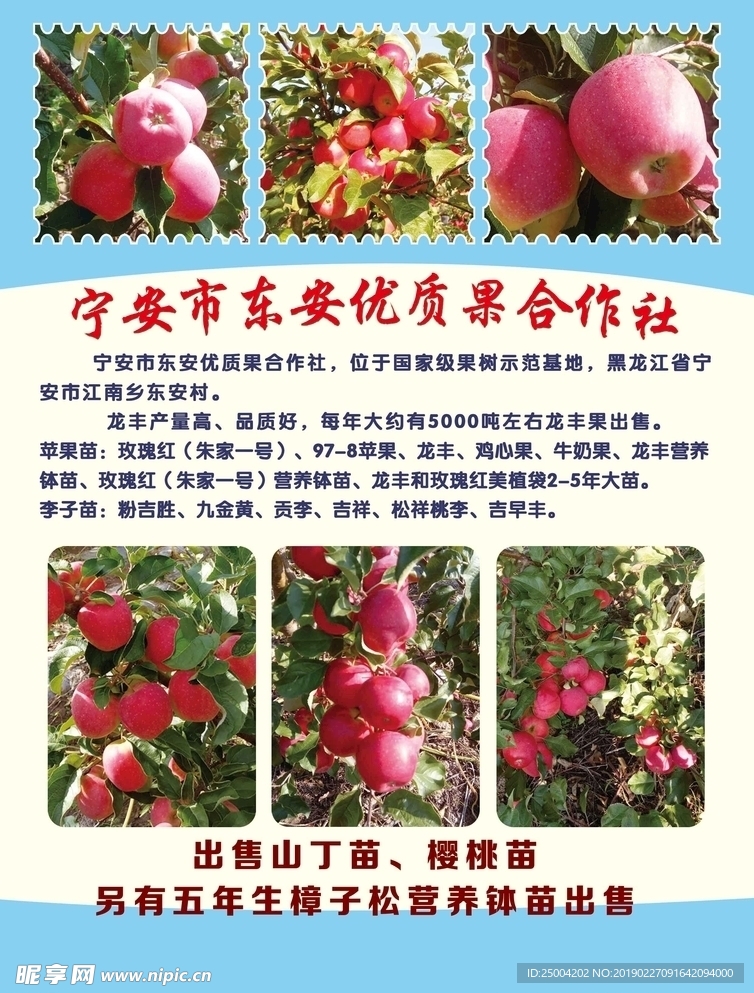 宣传彩页