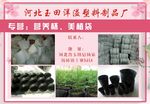 宣传彩页