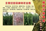 宣传彩页
