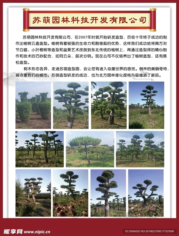 宣传彩页