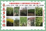 宣传彩页