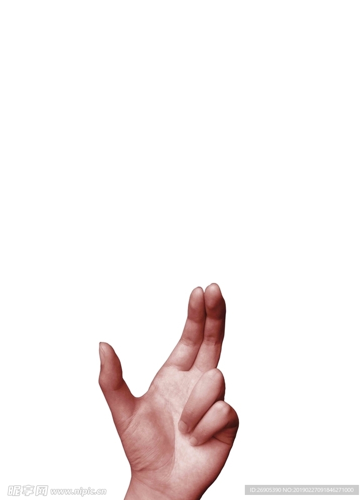 手