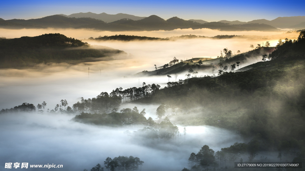 山