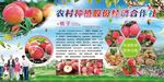 农村种植股份经济合作社
