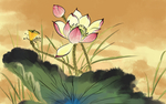 荷花