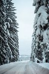 雪