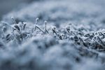 雪