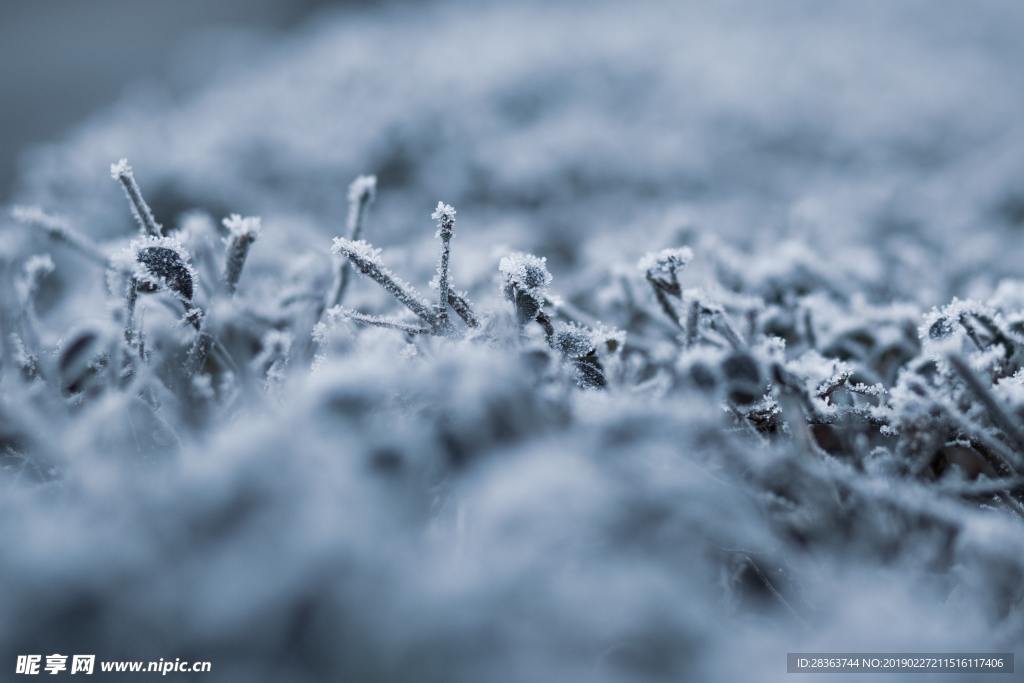 雪