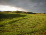 风景