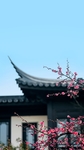 地产 转发图 微信 刷屏稿节气