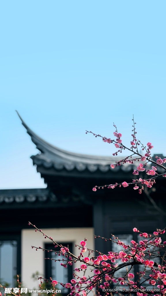 地产 转发图 微信 刷屏稿节气