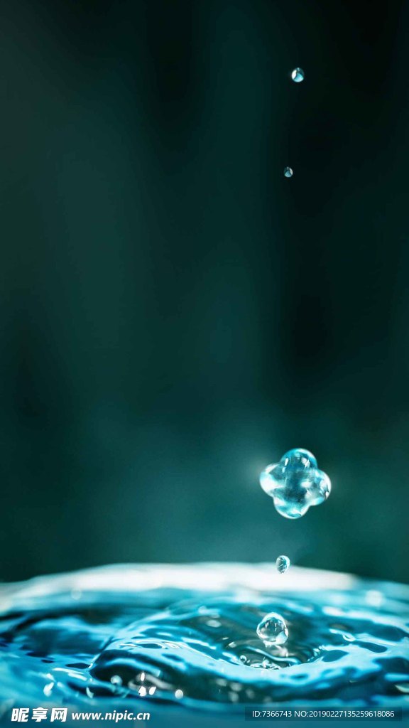 地产 转发图 微信 刷屏稿节气