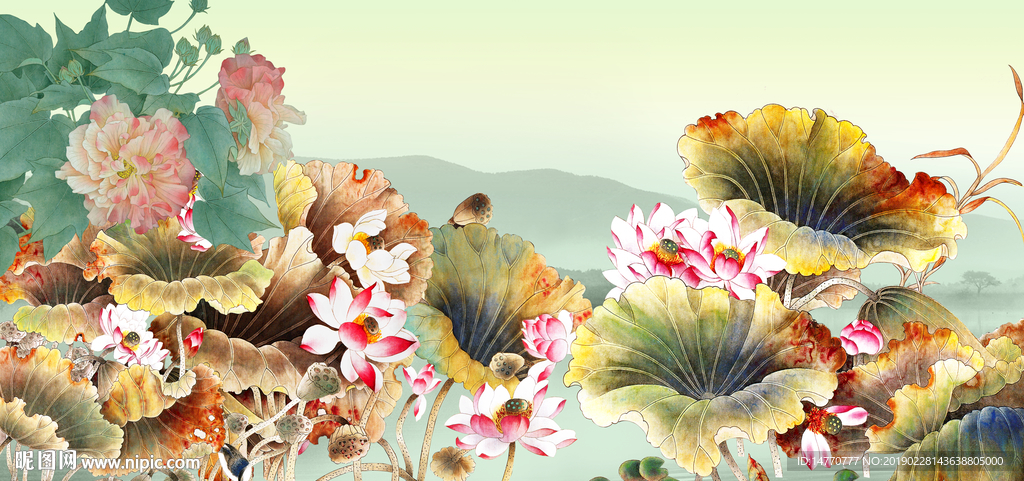 荷花国画