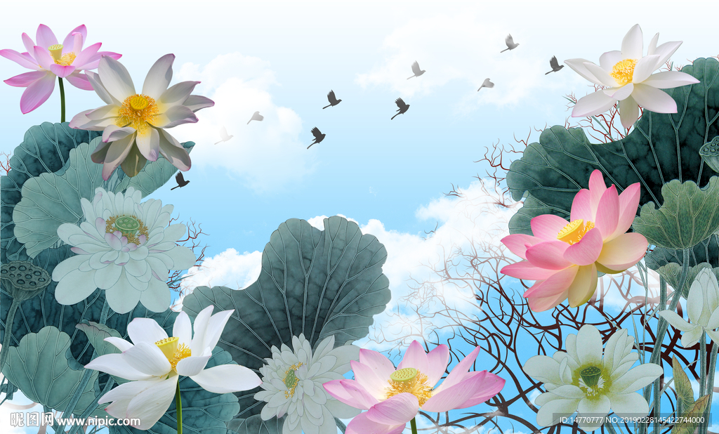 荷花国画