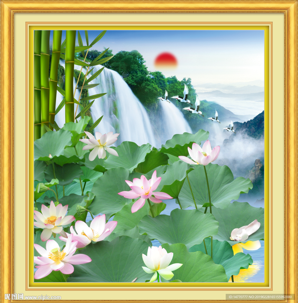 荷花国画