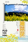 油菜花