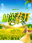 油菜花开