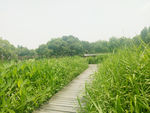 小路