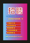 招聘设计