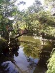 江南风景