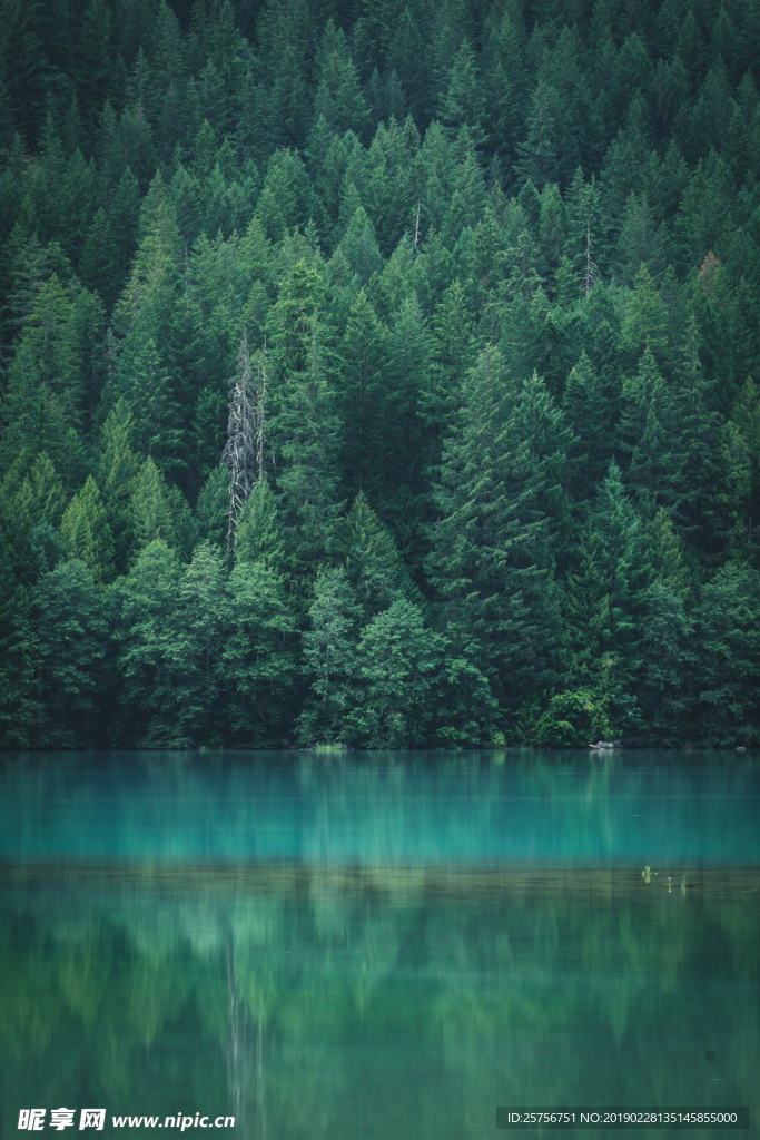 湖水