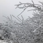 仙女山雪景