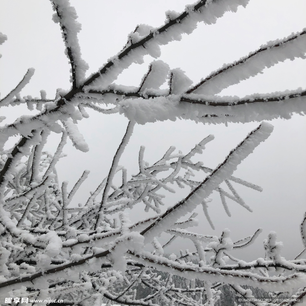 仙女山雪景