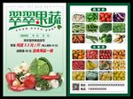 果蔬宣传单