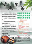 黑茶