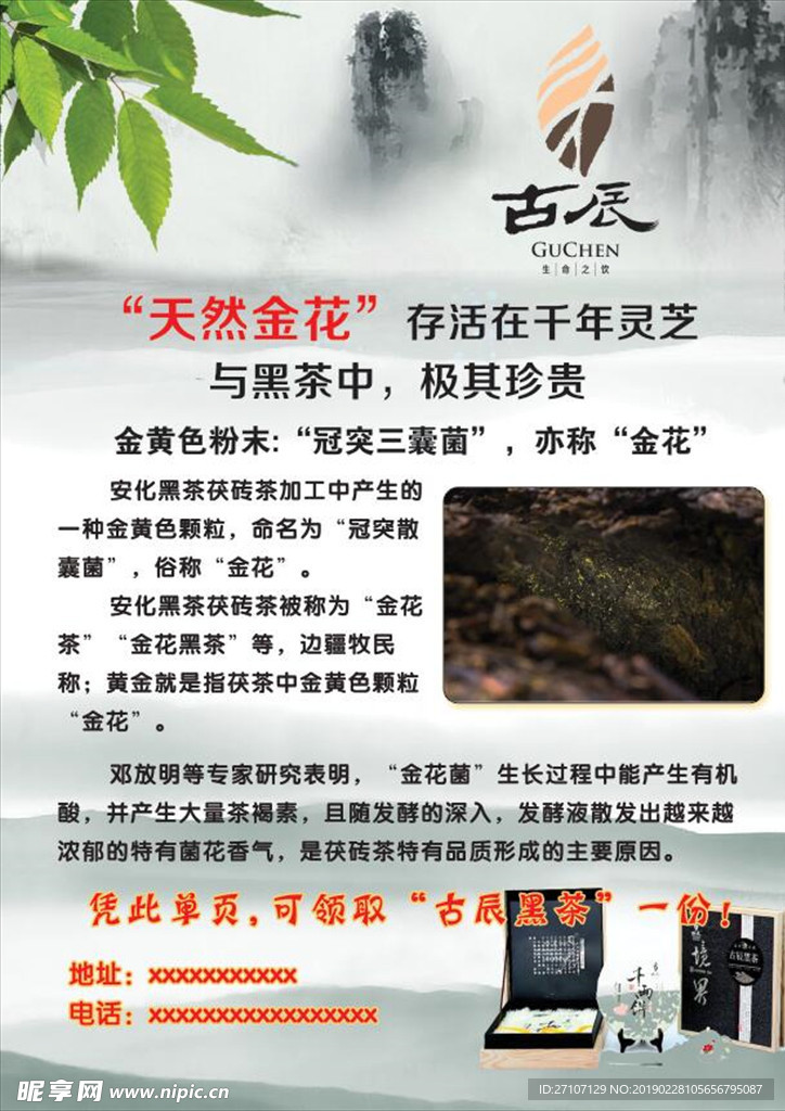 黑茶