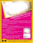家政