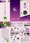 紫色桑葚三折页