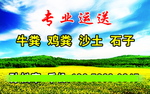 绿色名片