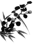 竹子花鸟