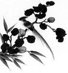 竹子花鸟