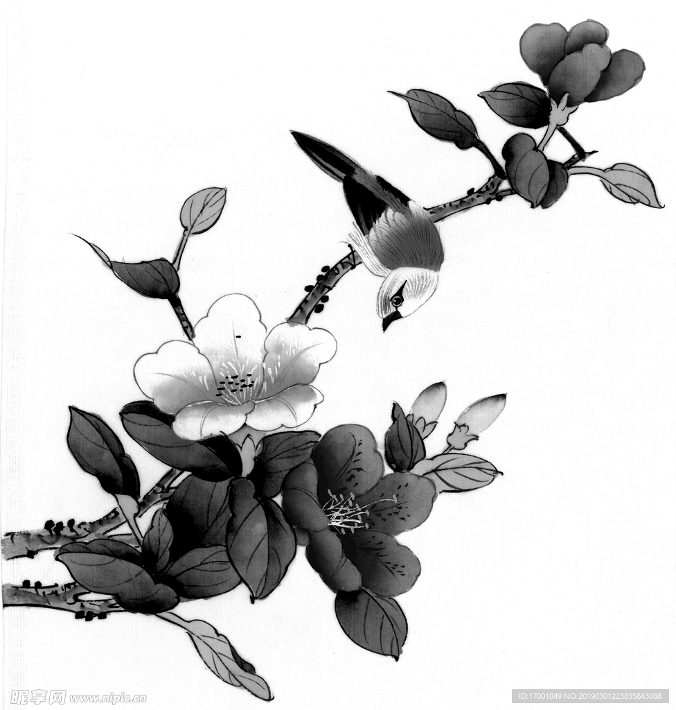 花鸟