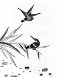 芦燕花鸟