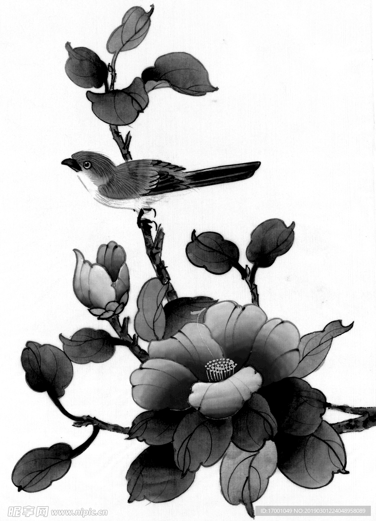 花鸟
