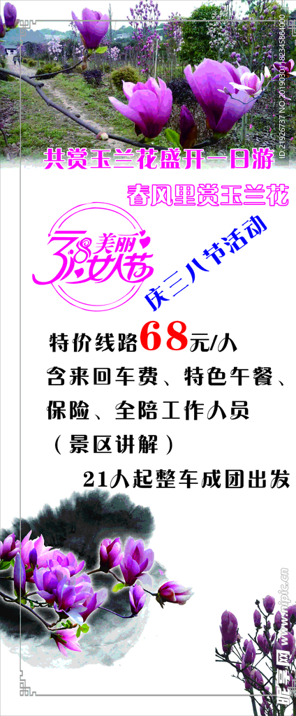 玉兰