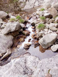 小河流水