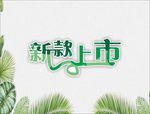 新品上市