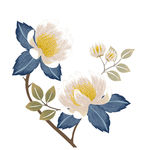 鲜花 一枝花 白花 ai 矢量