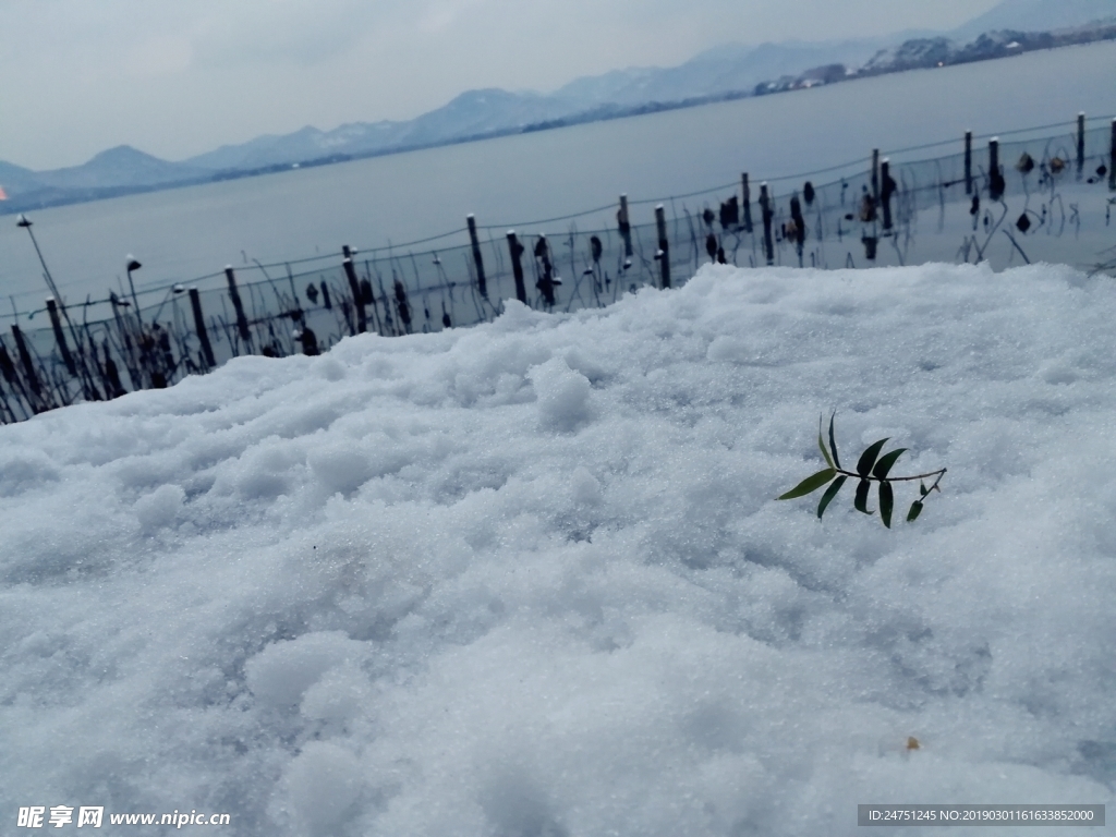 雪景