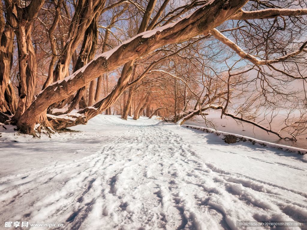 雪景