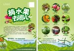 农场摘水果宣传单