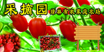采摘园
