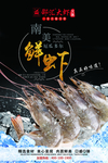 虾