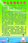 什么是锗石汗蒸
